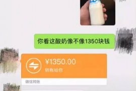 崇仁遇到恶意拖欠？专业追讨公司帮您解决烦恼
